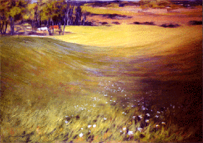 Summer Meadow