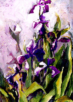 Wild Iris