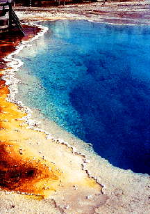 Geyser-Yellowstone N.P.